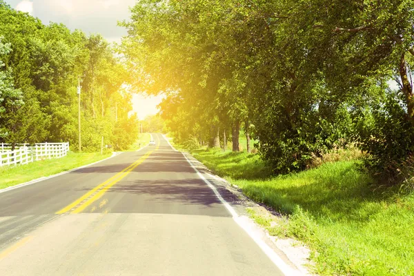 Camino del país — Foto de Stock