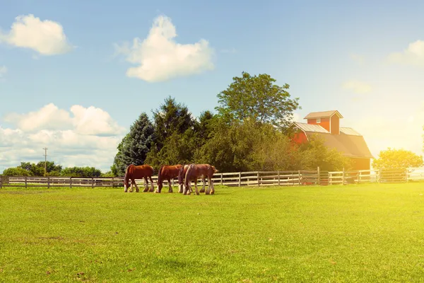 Terras agrícolas americanas — Fotografia de Stock