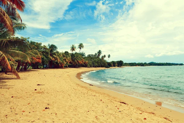 Spiaggia tropicale calda — Foto Stock
