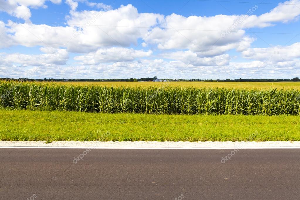 Country Road