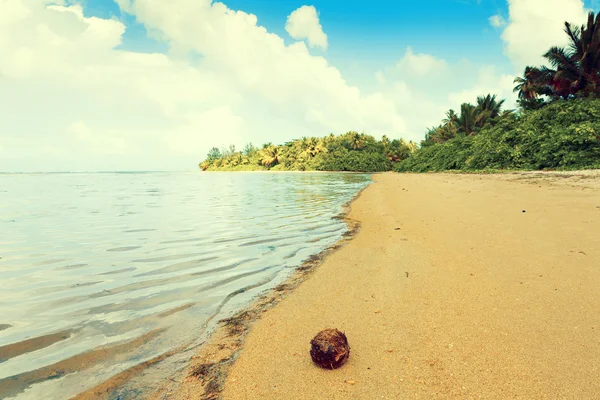 Varm tropisk strand — Stockfoto