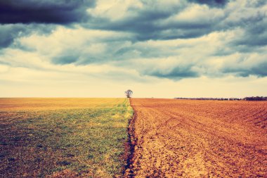 fırtınalı gökyüzü ile tarım arazisi