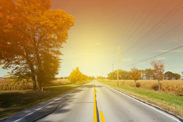 Strada di campagna — Foto Stock