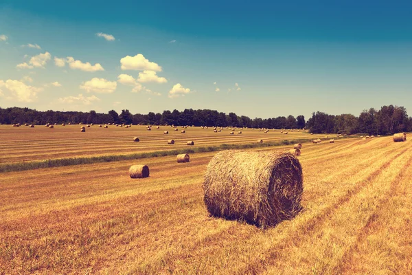 Balíky sena na zemědělskou půdu — Stock fotografie