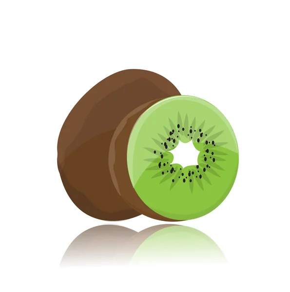 Kiwi. — Stock Vector