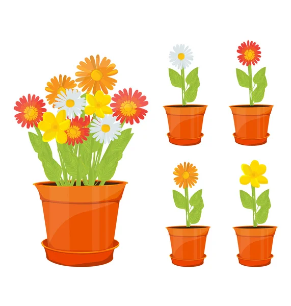 Colorful flowers in pots — Stock Vector