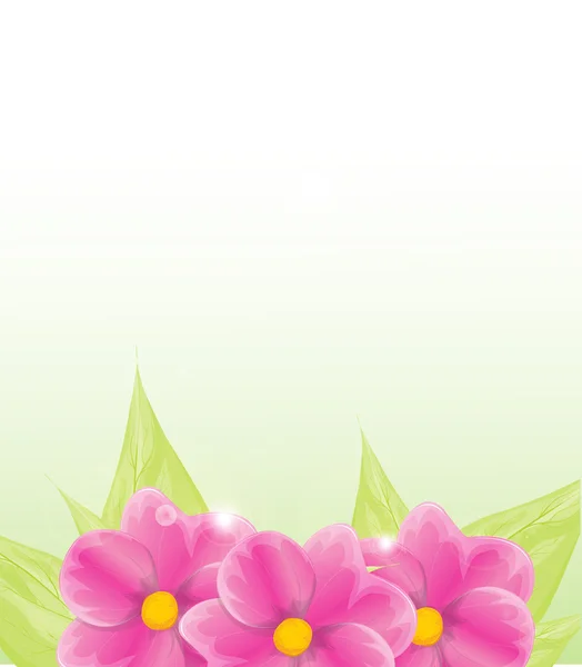 Frühling Hintergrund mit Blumen — Stockvektor
