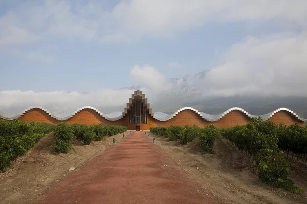 Winery behind vineyard — Stock Photo, Image
