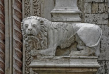 Aslan İtalya taş