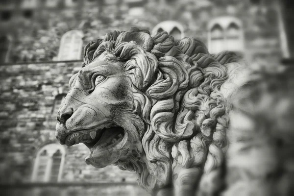 Stone lion - Florence — Stock Photo, Image