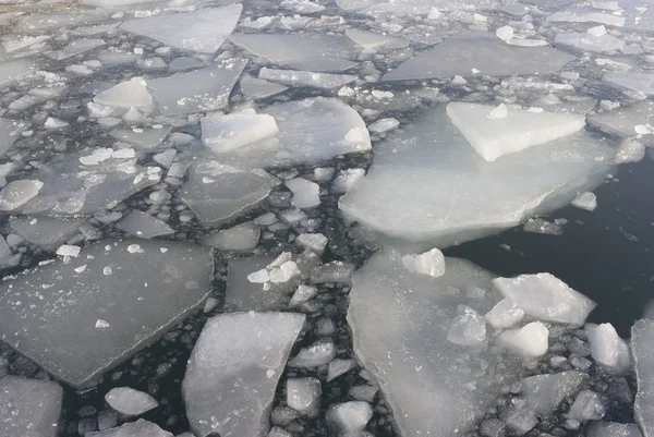 Pack ice in January — Stock Photo, Image