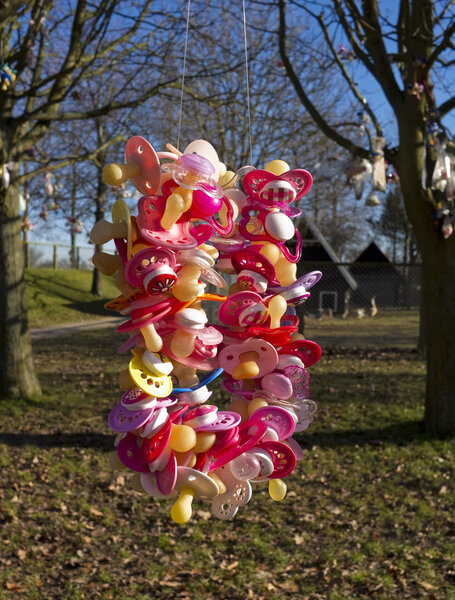 Colorful pacifiers in tree