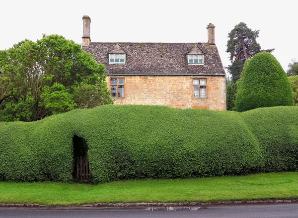 Old hedge and villa — Stock Photo, Image