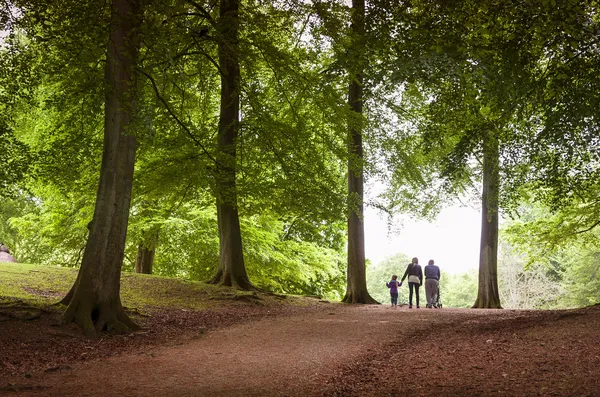 Caminhada em família na floresta — Fotografia de Stock