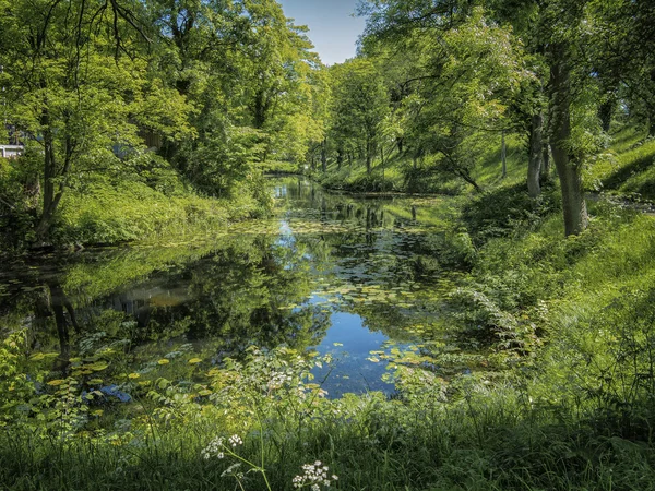 Estate in Paradiso — Foto Stock