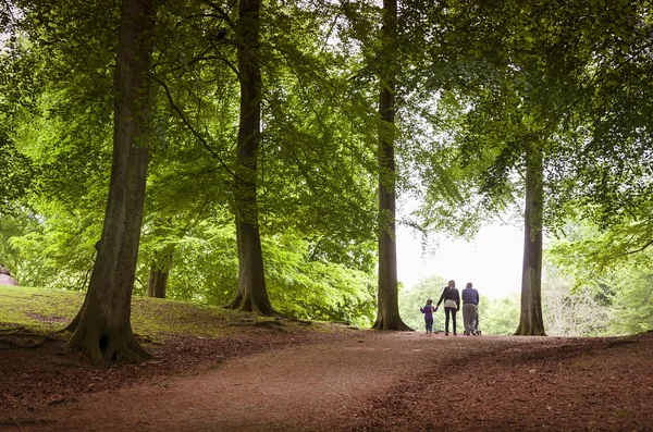 Family walk in the forest Stock Picture