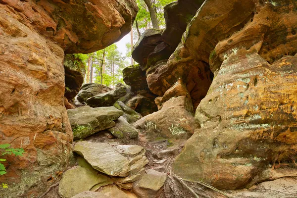 Beauty of Earth. The Hell Rocks near Nieklan, Poland.
