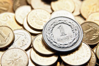 Polonya Zlotisi paraları ile para birimi