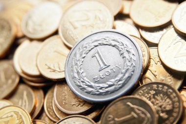 Polonya Zlotisi paraları ile para birimi