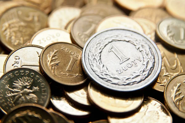 Polonya Zlotisi paraları ile para birimi