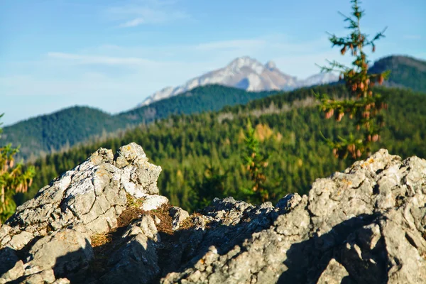 Montaña ladscape con rocas —  Fotos de Stock