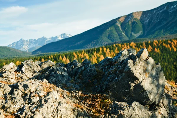 Montaña ladscape con rocas —  Fotos de Stock