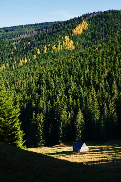 dağ ladscape ağaçları ile