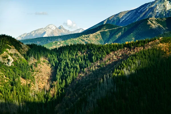 Dağ ladscape ağaçları ile — Stok fotoğraf