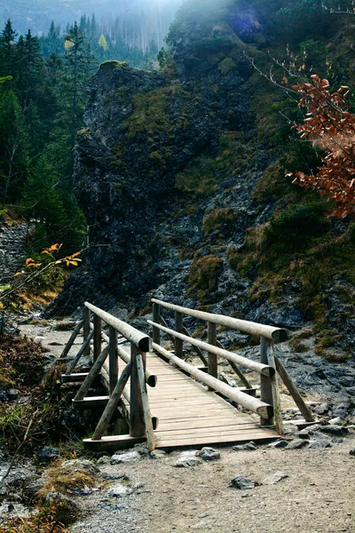 Paisaje verde con sendero y río — Foto de Stock