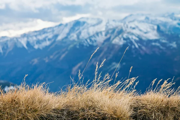 Montagna inverno paesaggio innevato — Foto Stock