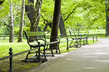 yeşil park Bench