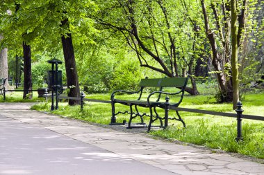yeşil park Bench