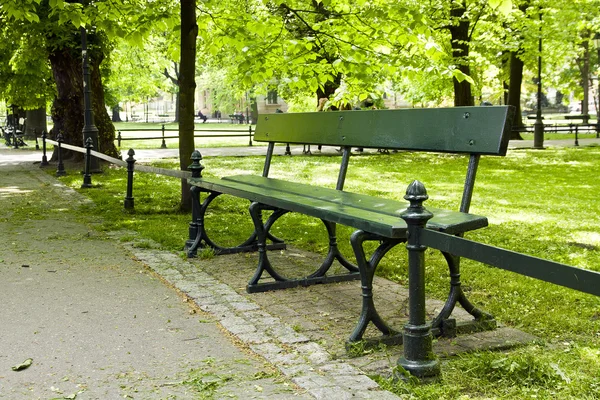 Скамейка в зеленом парке — стоковое фото