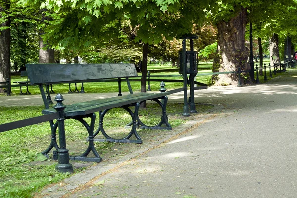 Bench in green park — Stock Photo, Image