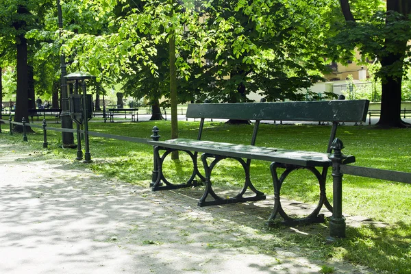 Bänk i grön park — Stockfoto