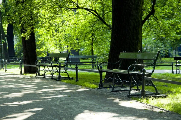 Bench in green park — Stock Photo, Image