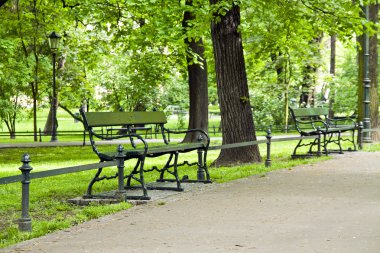 yeşil park Bench