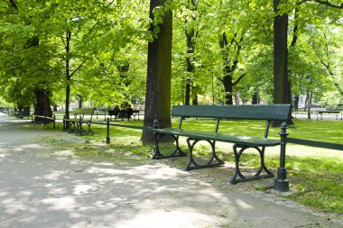 yeşil park Bench