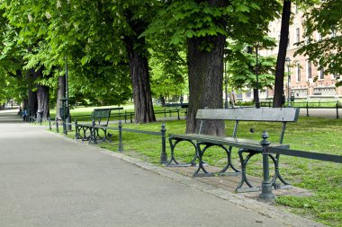 yeşil park Bench