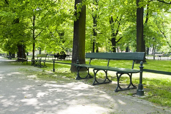 Bench in green park — Stock Photo, Image