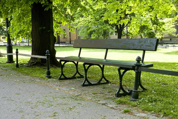 Bench in green park — Stock Photo, Image