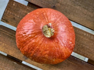 Sonbahar sonbahar dekoru portakal geleneksel Cadılar Bayramı balkabağı sebzesi 