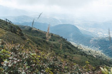 Tayland 'daki Doi Inthanon parkında bulutların manzarası