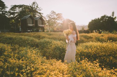 Genç ve çekici bir kadın Chiang Mai 'deki sarı çiçek tarlasında eğleniyor.