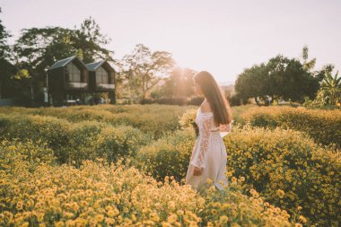 Genç ve çekici bir kadın Chiang Mai 'deki sarı çiçek tarlasında eğleniyor.