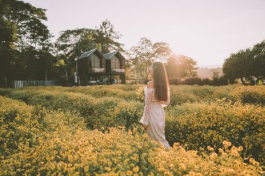 Genç ve çekici bir kadın Chiang Mai 'deki sarı çiçek tarlasında eğleniyor.