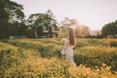 Genç ve çekici bir kadın Chiang Mai 'deki sarı çiçek tarlasında eğleniyor.