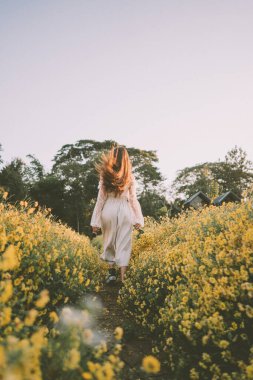 Genç ve çekici bir kadın Chiang Mai 'deki sarı çiçek tarlasında eğleniyor.