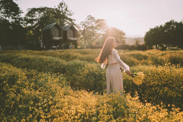 Genç ve çekici bir kadın Chiang Mai 'deki sarı çiçek tarlasında eğleniyor.
