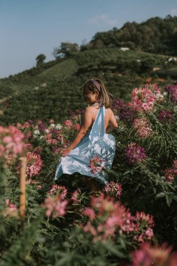 Taylandlı kadın çiçek tarlasında yürüyor.